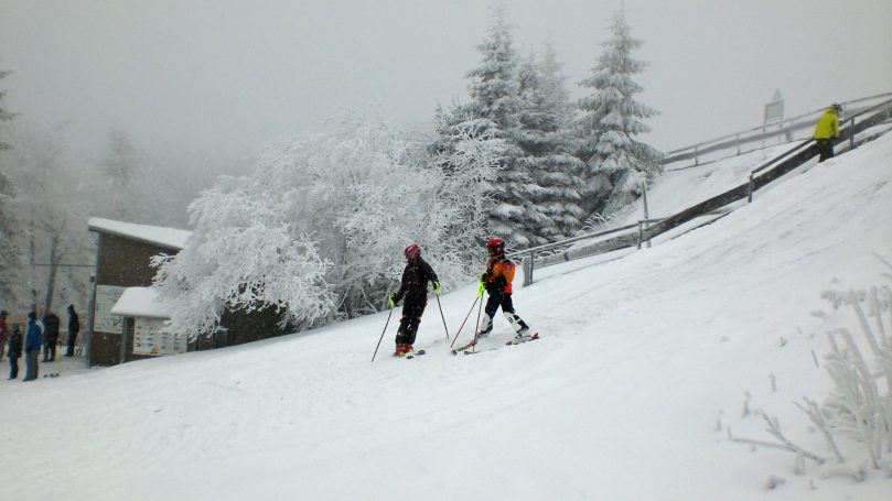 Vereinsleben SCE