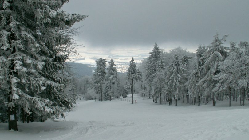 Vereinsleben SCE